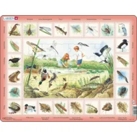 Puzzel - Flora en fauna in de sloot - 48st - Karton