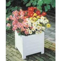 Dahlia Topmix Gemengd