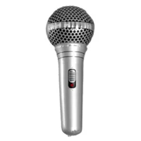 Opblaasbare microfoon 25 cm - Perfect feestaccessoire voor feest en plezier