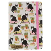 Agenda - 2027 - Compact - 16 maanden - Knappe katten - 12,7x17,8cm