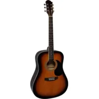 MSA CW160 westerngitaar starter