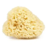 Natuurlijke spons 2 stuks