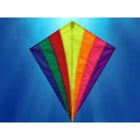 Vlieger - Regenboog