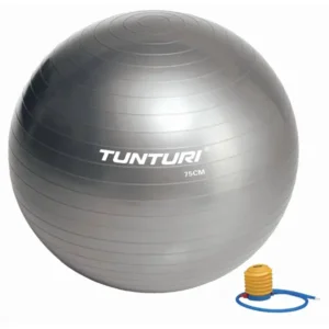 Tunturi Fitness Gym Ball 75 Silver