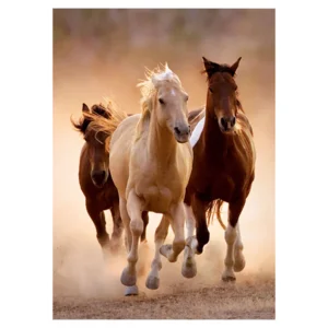 Clementoni High Quality collection puzzel - Galopperende paarden - 1000 stukjes