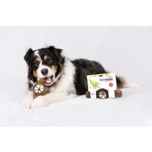 Benebone Pawplexer - Jack&Vanilla