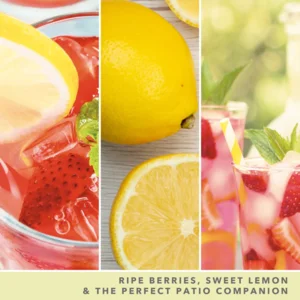 Iced Berry Lemonade - Wax Melt