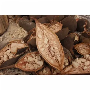 Purasana Baobab poeder 200 gram