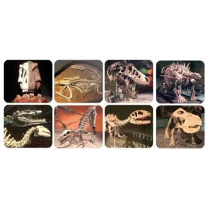 Zaklamp & projector - Dino's - Met 24 afbeeldingen