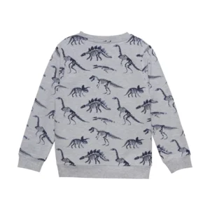 Minymo Jongens Licht Grijze Sweater Dino's