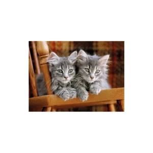Clementoni High Quality collection puzzel - Kittens - 500 stukjes