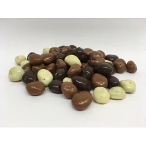 rozijntjes in chocolade 250 gr Moeder Babelutte