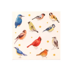 Kaart - JBS - Vogels - Klein - JBK046-A