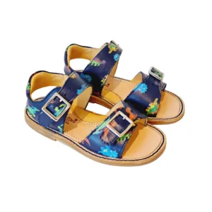 Zecchino d'Oro Sandaal Dino's A31-3100 Blauw 24