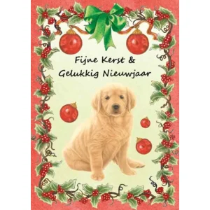 Kaart - Kerst - JBS - Fijne kerst & gelukkig nieuwjaar - KSF028