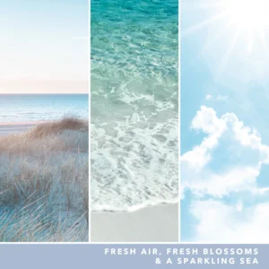 Ocean Air -  Signature Small Tumbler