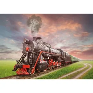 Educa Puzzel - Stoomlocotmotief - 2000 stukjes