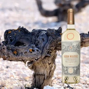 Bodegas Piqueras Gran Marius Verdejo Barrica