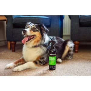 Animology Stink Bomb Deodorising Dog Spray 250 ml