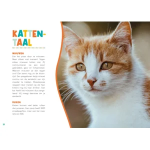 Boek - Handboek voor kattenbaasjes