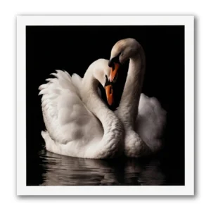 Kaart - Paperclip - Call of the wild - Zwanen Koppel - VB0.0013