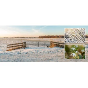 Kaarten - Kerst - Winter wonderland - 2x5st. - WN.3001