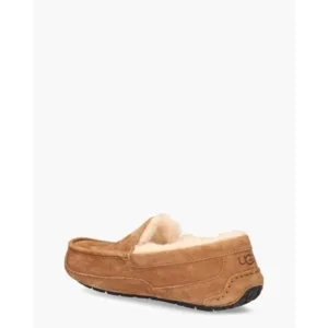 Ugg Ascot Bruin Herenpantoffels