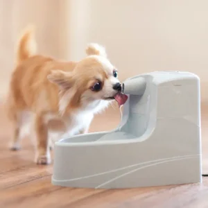 Mini Pet Fountain - 1.2 L