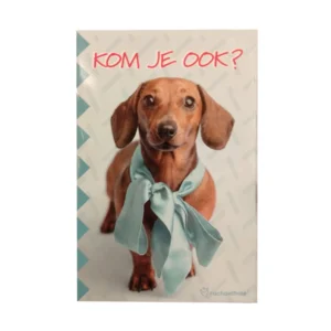 Uitnodigingskaarten - Tekkel - 6st.