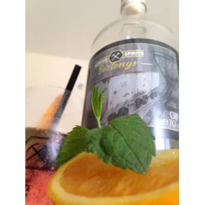 Berlengs gin 40% 70 cl