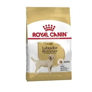 Royal Canin labrador retriever Adult 12KG