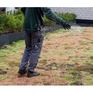 Onderhoudspakket: onderhoud voor je groendak doe-het-zelf, mooie groei bloemen groendak, mos bestrijden, onkruid verwijderen, sedummeststof, sedum meststof