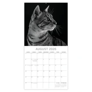 Kalender - 2026 - Cat portraits - 30x30cm