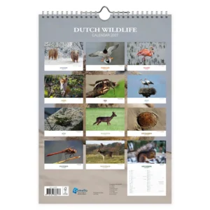 Maand kalender - 2027 - Dutch wildlife - 23,5x33,5cm