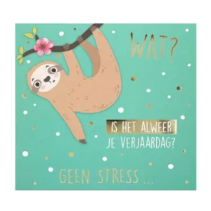 Kaart - Pop-up, licht & muziek - Is het alweer je verjaardag? Geen stress... - 023A