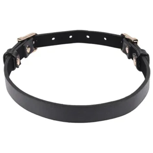 Sportsheets Sex & Mischief Double Buckle Day Collar