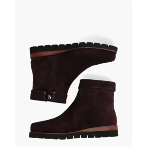 Di Lauro Nanet Aubergine Dames Enkelboots