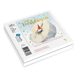 Kaarten - Kerst - Rien Poortvliet - Knuffel & kabouter in sneeuwbal - 10st.