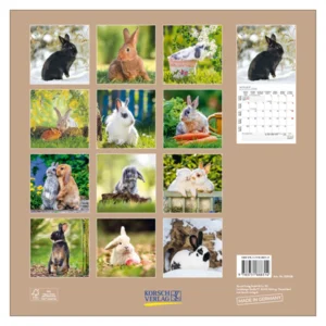 Kalender - 2026 - Konijnen - 30x30cm