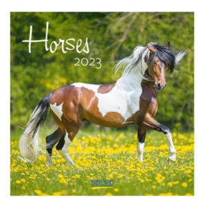 Kalender - 2023 - Horses - Paarden - 30x30cm