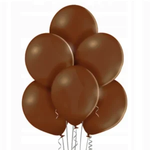 Ballonnen - Bruin - 10st.