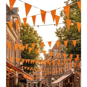 Vlaggenlijn - oranje - 50m