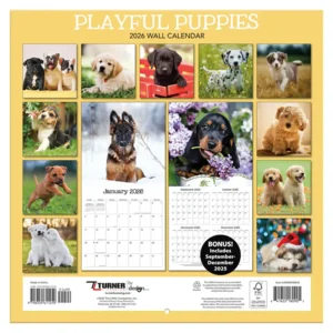 Kalender - 2026 - Speelgrage puppies - 30x30cm