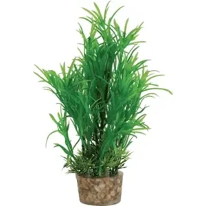 Zolux ornament pastic plant op steen neutraal assorti 20x10x10 cm