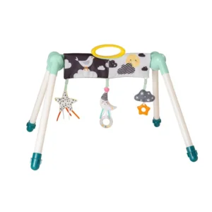 Taf Toys Mini Moon Take-To-Play Baby Gym