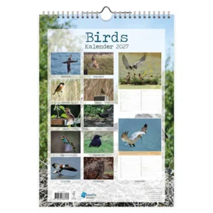 Maand kalender - 2027 - Vogels - Birds - 23,5x33,5cm
