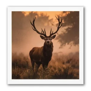 Kaart - Paperclip - Call of the wild - Edelhert - VB0.0020