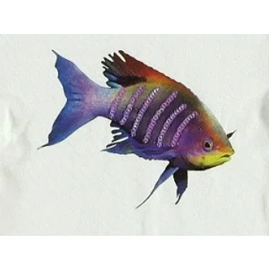 longsleeve metallic fish