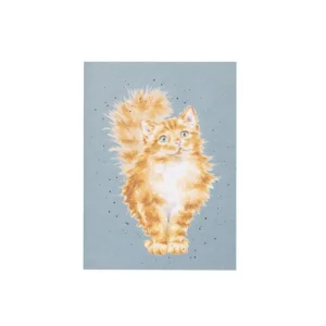 Notitieboekje A6 - Just Purr-fect