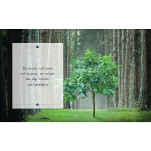 Boek - Cadeauboek - Hoera 60 jaar - 13x16cm